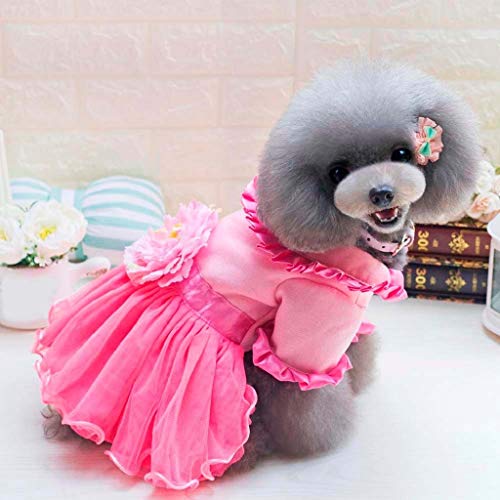 Vestidos de Encaje para Perro y Gato, Vestido de Tul para Fiesta de Boda de Cumpleaños, Falda de La Torta de Floral, Vestido de Tutú de Verano y Primavera, Ropa para Mascotas Pequeños