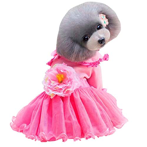 Vestidos de Encaje para Perro y Gato, Vestido de Tul para Fiesta de Boda de Cumpleaños, Falda de La Torta de Floral, Vestido de Tutú de Verano y Primavera, Ropa para Mascotas Pequeños