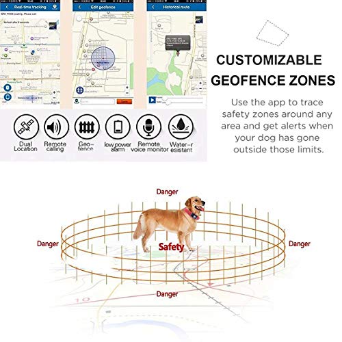 W-Pet Collar rastreador de Perro con Collar Ligero Impermeable rastreador de Perro con aplicación en Tiempo Real Monitor de Actividad Gratis en línea Plataforma de Seguimiento