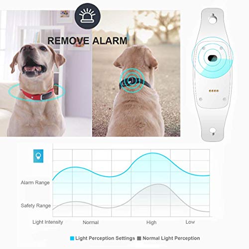 W-Pet Collar rastreador de Perro con Collar Ligero Impermeable rastreador de Perro con aplicación en Tiempo Real Monitor de Actividad Gratis en línea Plataforma de Seguimiento