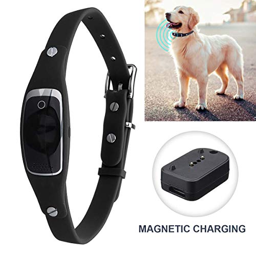 W-Pet Collar rastreador de Perro con Collar Ligero Impermeable rastreador de Perro con aplicación en Tiempo Real Monitor de Actividad Gratis en línea Plataforma de Seguimiento