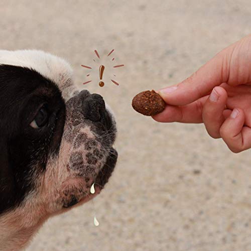 Waniyanpi Snacks para Perros Seniors. con Harpagofito, Aceite de Salmón y Cardo Mariano para Mejorar la Salud de los más Mayores. 200g