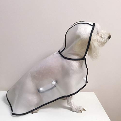 WHWH Chubasquero Impermeable para Perros en Modo translúcido, sin Pliegues, para Perros pequeños y medianos con Gorra, Chaqueta Impermeable a Prueba de Agua,Black-L