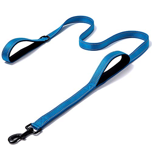 WNZL Correa para Perro Doble Mango,Nylon Reflectantes para para Entrenamiento De Duty Durable para Perros Y Medianos para Perros Pequeño, Mediano Y Grande Accesorios Gato Cachorro,Light Blue