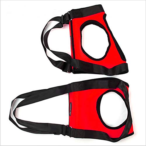 WPCASE Arnes Perro Grande Arnes Antitirones Perro Arnes De Pecho Perro Arnes Perro Acolchado Collar Antitirones Perro Arnes Perro Antitirones Arnes Canicross Arnes De Tiro para Perros Red,Set-s