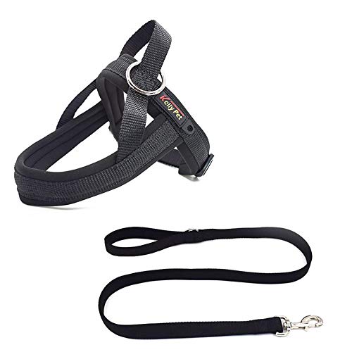 Xiyyou Set Guinzagli per Cinturini per Cani con Cordino per Cani, 2, S