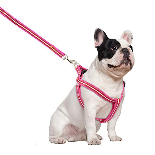 XYBB Arnes Perro Arnés De Perro Pitbull Y Correa Set Reflectante Arnés De Mascota Plomo Bulldog Arnés Bungee Correas para Perros Pequeños Medianos Grandes M Rosa