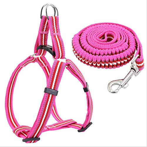 XYBB Arnes Perro Arnés De Perro Pitbull Y Correa Set Reflectante Arnés De Mascota Plomo Bulldog Arnés Bungee Correas para Perros Pequeños Medianos Grandes M Rosa