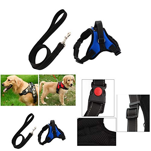 XYBB Arnes Perro Dog Arnés Correa Set Ajustable Transpirable Perro Gato Collar Arnés Arnés para Perro Cachorro Mascota Pecho Correa Perro Accesorios Azul XS Azul