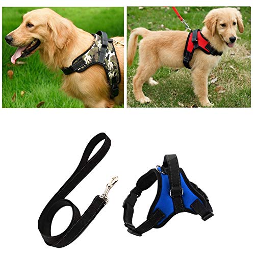 XYBB Arnes Perro Perro Arnés Correa Set Ajustable Transpirable Perro Gato Collar Arnés Arnés para Perro Cachorro Mascota Pecho Correa Accesorios para Perros M Azul