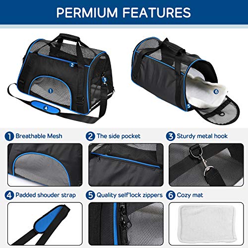 YOUTHINK Gato Transportín Portador Portátil Aprobado por la Aerolínea, Extra Espacioso Suave Lado para Mascotas Seguridad 19.5x11.5x11.5 Pulgadas, Trajes para Perros/Gatos/Avión/Viaje en Coche