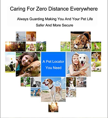 ZhHaoXin Pet Localizador De Mascotas GPS, Localizador de Rastreador de Gatos Rastreador de Mascotas Seguimiento con Precisión Posicionamiento Impermeable Gratis, Black