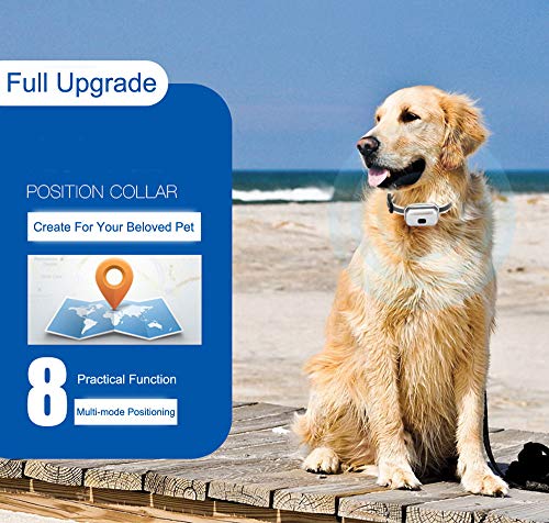 ZhHaoXin Pet Localizador De Mascotas GPS, Localizador de Rastreador de Gatos Rastreador de Mascotas Seguimiento con Precisión Posicionamiento Impermeable Gratis, Black