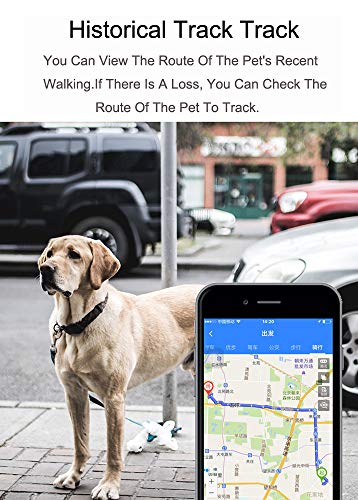 ZhHaoXin Pet Localizador De Mascotas GPS, Localizador de Rastreador de Gatos Rastreador de Mascotas Seguimiento con Precisión Posicionamiento Impermeable Gratis, Black