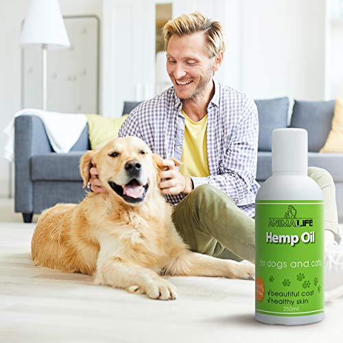 Aceite de Cañamo para Perros & Gatos 250ml - 100% Natural Aceite de Cáñamo - Mejora el Sueño de las Mascotas - Suplemento Omega 3 6 9 - Aliviar la Ansiedad - Ayudar a la Salud