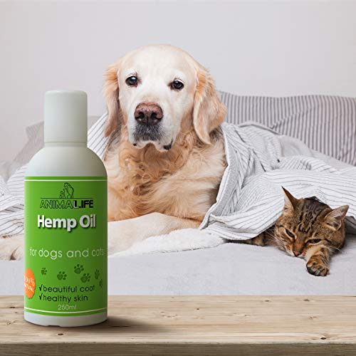 Aceite de Cañamo para Perros & Gatos 250ml - 100% Natural Aceite de Cáñamo - Mejora el Sueño de las Mascotas - Suplemento Omega 3 6 9 - Aliviar la Ansiedad - Ayudar a la Salud