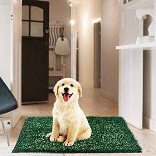 Alfombrilla de baño de césped artificial a prueba de salpicaduras gruesa para cachorros y mascotas pequeñas Almohadilla portátil de entrenamiento para ir al baño para uso en interiores y exteriores