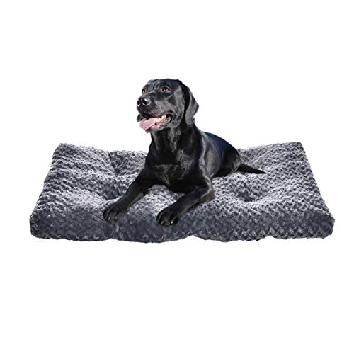 AmazonBasics - Cama para mascotas - 1 m, gris en espiral