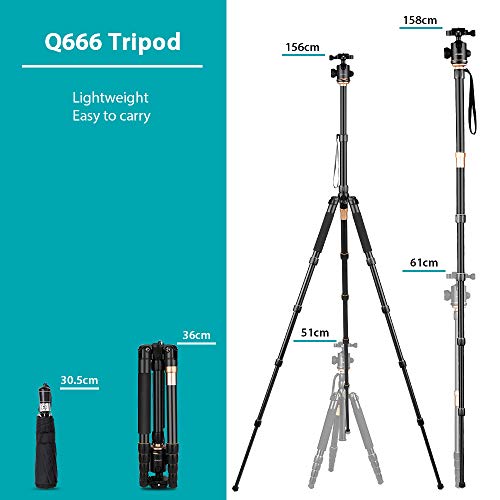 Andoer Q666 Trípode Completo Trípode Reflex Portátil 156cm para DSLR Cámara Canon Sony Nikon, Trípode 2-en-1 Monopod Photocamera Aleación de Aluminio con Cabeza de 360° Bola, Bolsa de Transporte