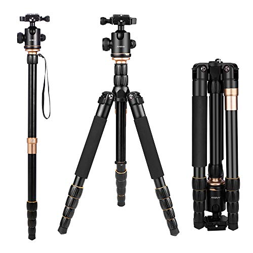 Andoer Q666 Trípode Completo Trípode Reflex Portátil 156cm para DSLR Cámara Canon Sony Nikon, Trípode 2-en-1 Monopod Photocamera Aleación de Aluminio con Cabeza de 360° Bola, Bolsa de Transporte