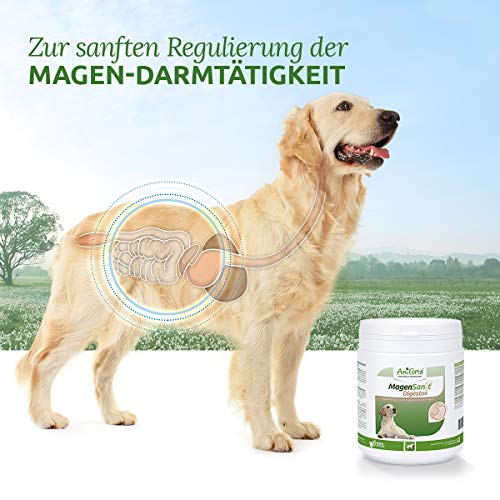 AniForte Digestox para perros 500g - para regular el estómago y los intestinos, ayuda a la digestión, une jugos gástricos y ácidos, armoniza la actividad gastrointestinal, granulado mineral de arcilla