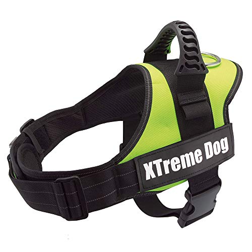 Arquivet 17718 Arnés Xtreme Dog, Verde Neón, M (61-81 cm)