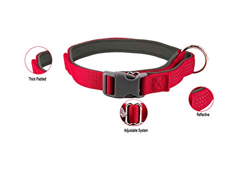 AVANZONA Collar Nylon reflecante aolcochado Ajustable para Perros, Mascotas, 2.5 * 42-64 (Rojo) Collar for Dog Adjustable Padded Reflective Nylon Collar for Dogs, 2.5 * 42-64 (Red)