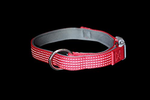 AVANZONA Collar Nylon reflecante aolcochado Ajustable para Perros, Mascotas, 2.5 * 42-64 (Rojo) Collar for Dog Adjustable Padded Reflective Nylon Collar for Dogs, 2.5 * 42-64 (Red)