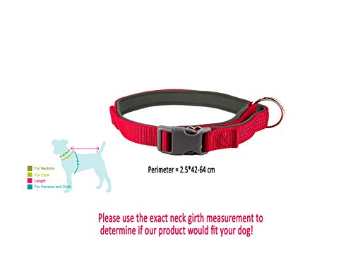 AVANZONA Collar Nylon reflecante aolcochado Ajustable para Perros, Mascotas, 2.5 * 42-64 (Rojo) Collar for Dog Adjustable Padded Reflective Nylon Collar for Dogs, 2.5 * 42-64 (Red)