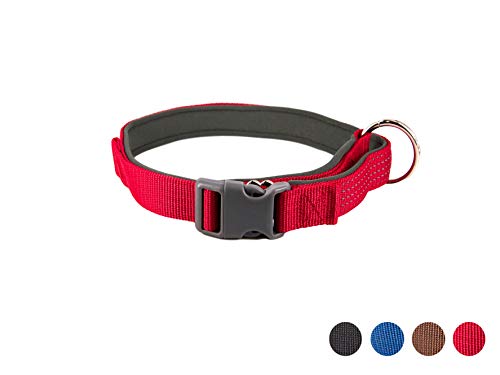 AVANZONA Collar Nylon reflecante aolcochado Ajustable para Perros, Mascotas, 2.5 * 42-64 (Rojo) Collar for Dog Adjustable Padded Reflective Nylon Collar for Dogs, 2.5 * 42-64 (Red)