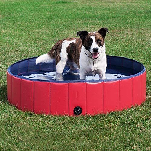 AYITOO Bañera para Perros, PVC Antideslizante y Resistente al Desgaste Piscina para Mascotas Perros, Bañera Plegable de Mascotas para Mascotas, Natación Piscina para Perros 160 cm x 30 cm