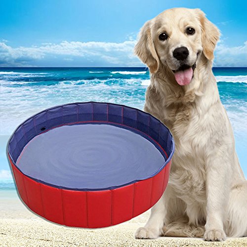 AYITOO Bañera para Perros, PVC Antideslizante y Resistente al Desgaste Piscina para Mascotas Perros, Bañera Plegable de Mascotas para Mascotas, Natación Piscina para Perros 160 cm x 30 cm