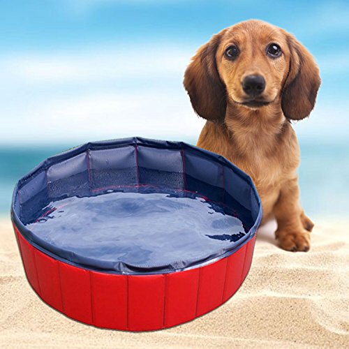 AYITOO Bañera para Perros, PVC Antideslizante y Resistente al Desgaste Piscina para Mascotas Perros, Bañera Plegable de Mascotas para Mascotas, Natación Piscina para Perros 160 cm x 30 cm