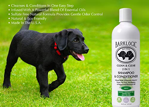 BarkLogic Clean & Clear Champú y acondicionador 2 en 1, menta, 16 fl oz | Sin parabenos, sin ftalatos, sin sulfatos, sin DEA y PEG, hipoalergénico, a base de plantas...