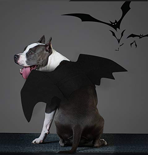 BbearT® Ropa de Halloween para Mascotas, de Fieltro, para Perro, de Halloween, Disfraz para Gatos, Perros pequeños, Perros medianos y Perros Grandes