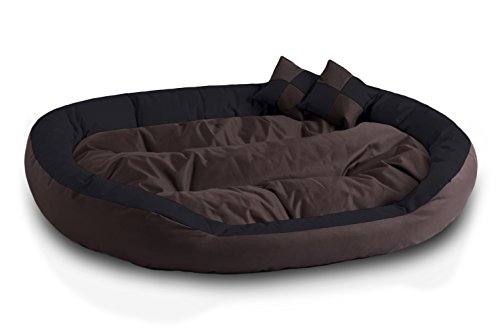 BedDog® 4en1 Saba Marron/Negro XXXL Aprox. 150x120cm colchón para Perro, 7 Colores, Cama, sofá, Cesta para Perro