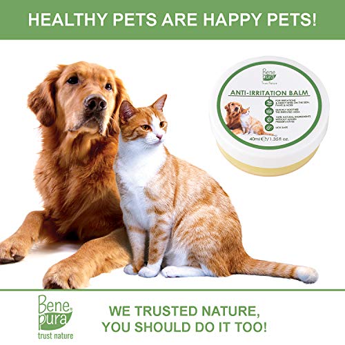 Bene Pura Trust Nature Bálsamo para Mascotas 100% Natural Anti-irritación - para Patas, Nariz y Piel - para Perros y Gatos