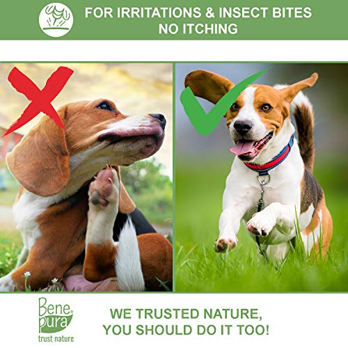 Bene Pura Trust Nature Bálsamo para Mascotas 100% Natural Anti-irritación - para Patas, Nariz y Piel - para Perros y Gatos