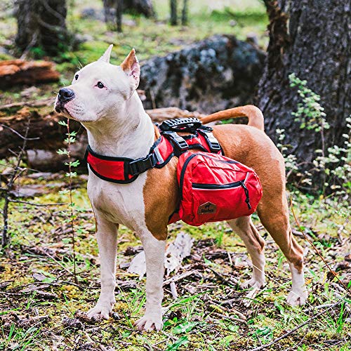 BLACKDOGGY Perro Mochila Paquete Ajustable para la excursión al Aire Libre Saddlebag Estilo Accesorio del Perro (L)