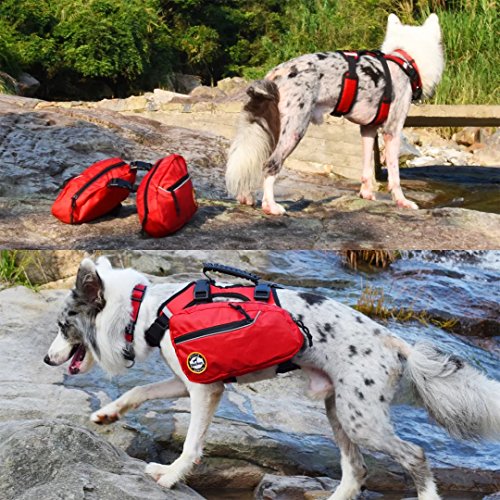 BLACKDOGGY Perro Mochila Paquete Ajustable para la excursión al Aire Libre Saddlebag Estilo Accesorio del Perro (L)