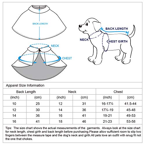 Blueberry Pet Elite & - Jersey de Punto con Capucha para Perro