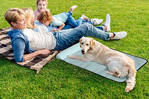 bonamico Cool Buddy Cooper, Colchón Lavable para Perros, Cama para Perros para Coche, Exteriores o en Casa, Colchoneta Portátil para Perros para Descanso