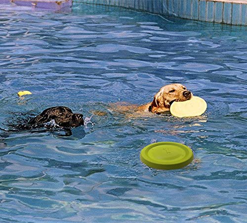 Briller Perro Frisbee Flotador Perro Volador Disco Juguetes Mascota Entrenamiento al Aire Libre Juguetes Perro Throw y Fetch Juguete