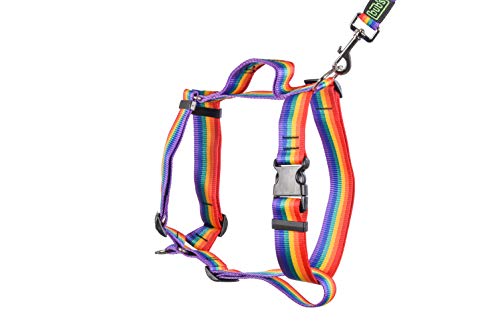 bub's no Pull - arnés con asa para Perro Grande Sistema Anti tirón (Comprobar tamaño: Cuello 43-74cm Pecho 59-94cm) (Rainbow)