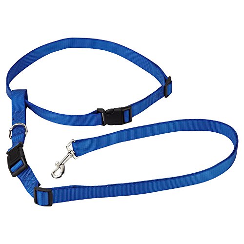 Bunty Jazooli - Correa Ajustable con Manos Libres para Perro y Correr, Color Azul