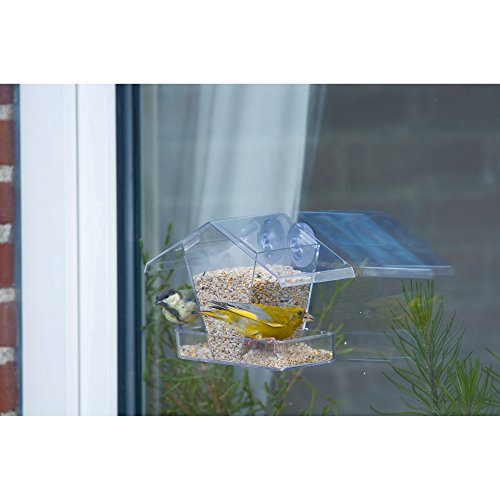 C J Wildbird Foods Limited C J - Casita transparente para alimentación para la ventana para pájaros (Talla Única) (Transparente)