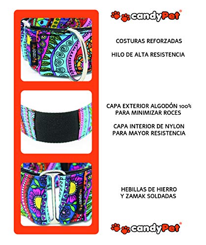 candyPet Collar Martingale para Perros - Modelo Mariquitas (M: Ancho 4 cm (30-50 cm diámetro))