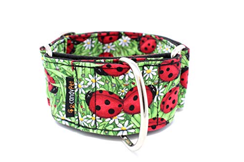 candyPet Collar Martingale para Perros - Modelo Mariquitas (M: Ancho 4 cm (30-50 cm diámetro))