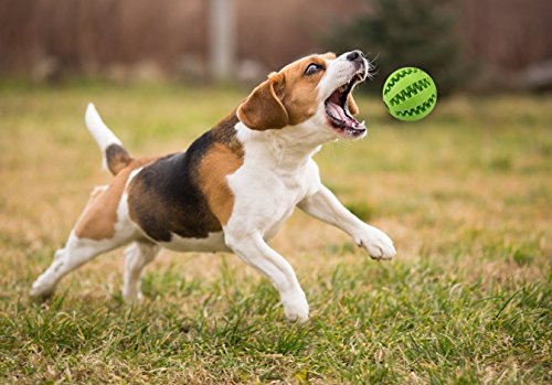 Caucho natural para mascotas masticando la bola, bola del juguete perro interactivo, seguro y no tóxico limpieza bola 7 cm.