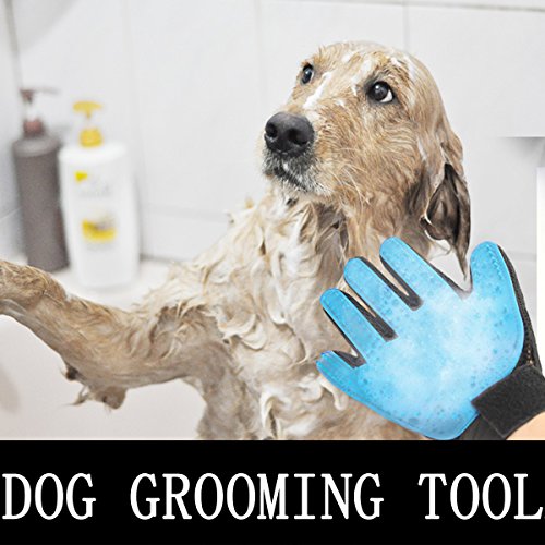 Cepillo para Guantes -con Removedor de pelo para Muebles - Limpieza de Mascotas Para Perros Pequeños, Medianos y Grandes & Gatos Con Pelaje Corto a Largo - Reduce Eficazmente la Caida de Cabello Hasta